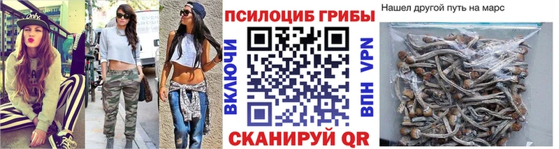мориарти телеграм  Кубинка  Псилоцибиновые грибы прущие грибы  МЕГА ССЫЛКА 